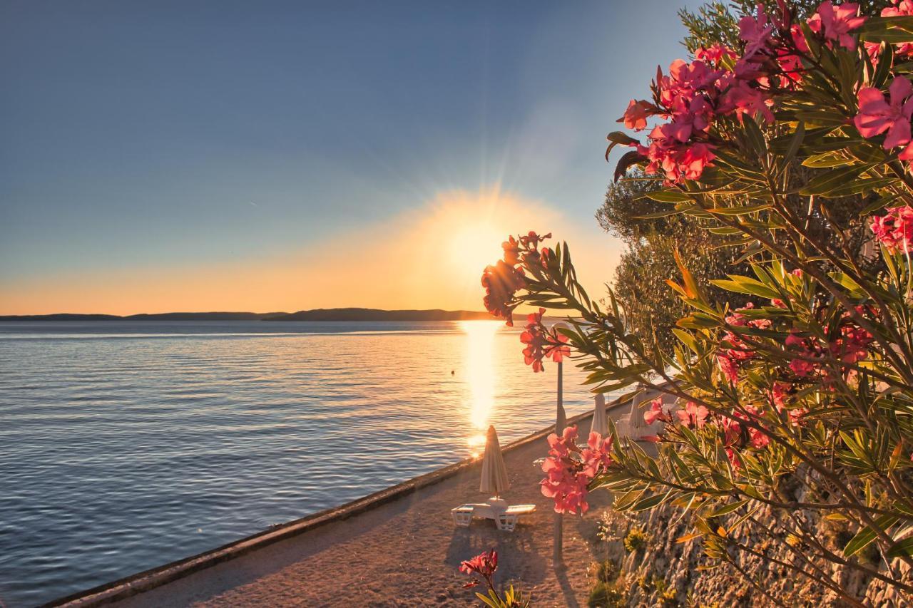 Pension Augustino Miletici ภายนอก รูปภาพ