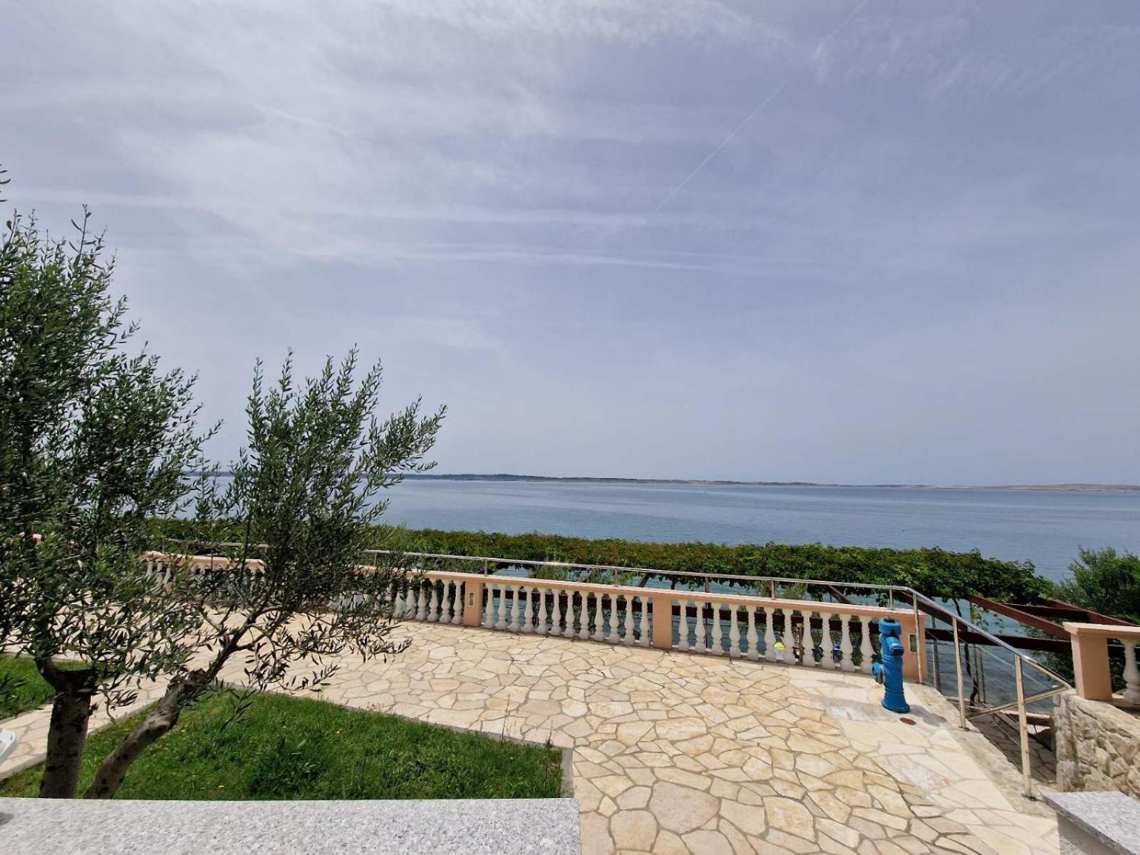 Pension Augustino Miletici ภายนอก รูปภาพ